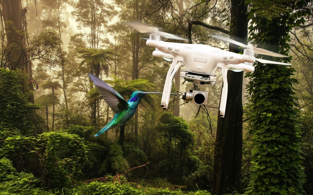 Dronecoria, drones de madera para reforestar el mundo que puedes hacer tu mismo